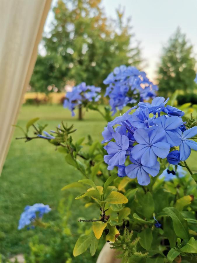 Marcaria B&B Casazze Dream المظهر الخارجي الصورة